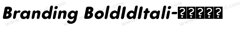 Branding BoldIdItali字体转换